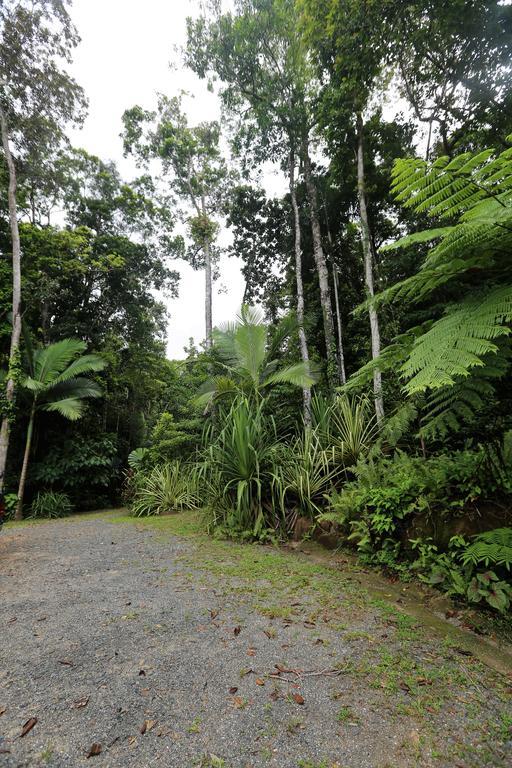 Stonewood Views Villa Diwan Exterior foto
